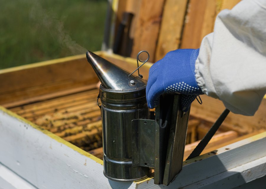 Expert Pest Control Inc pest control work in Deshler