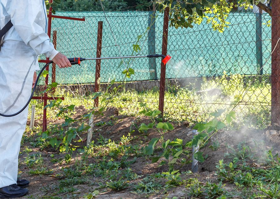 Knock 'em Dead Pest Control pest control work in Black Creek