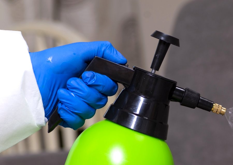Pest treatment in Brookfield, WI