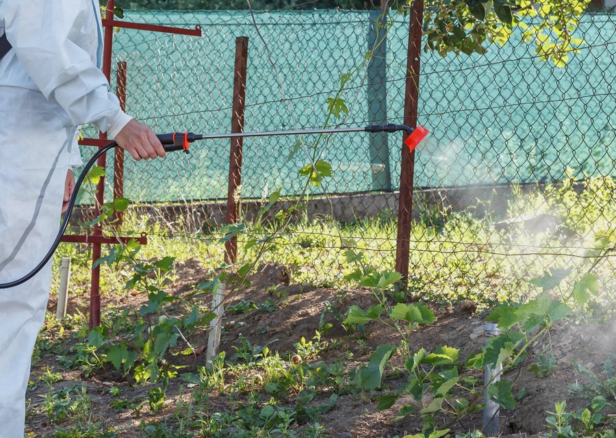 Pest treatment in Del Mar, CA