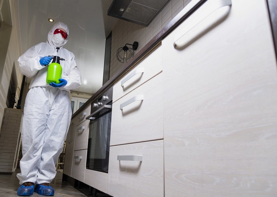 Brochu Pest Solutions pest control work in Belle Center
