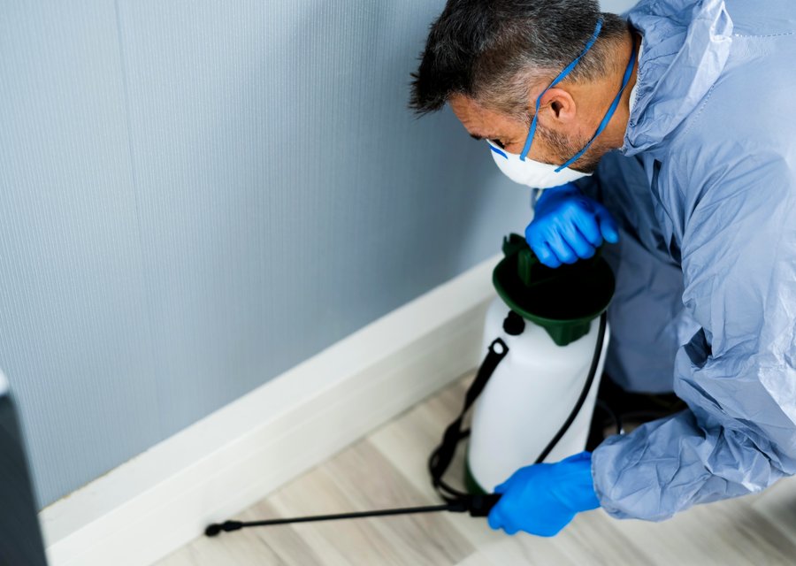 Green Pest Solutions pest control work in Apple Valley