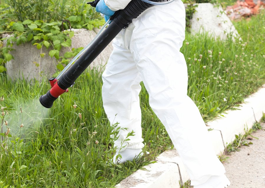 Excel Pest Control pest control in Brussels, WI