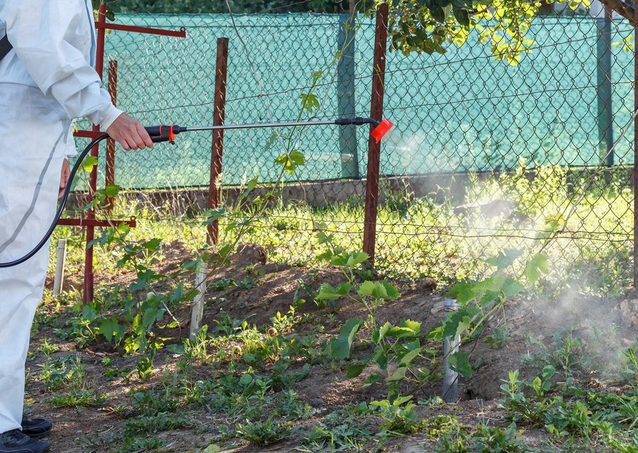 Lake Country Pest Control pest control work in Brownstown