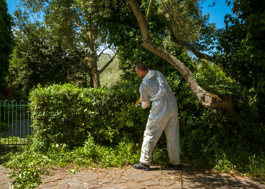 Creature Control LLC pest control work in Coos Bay