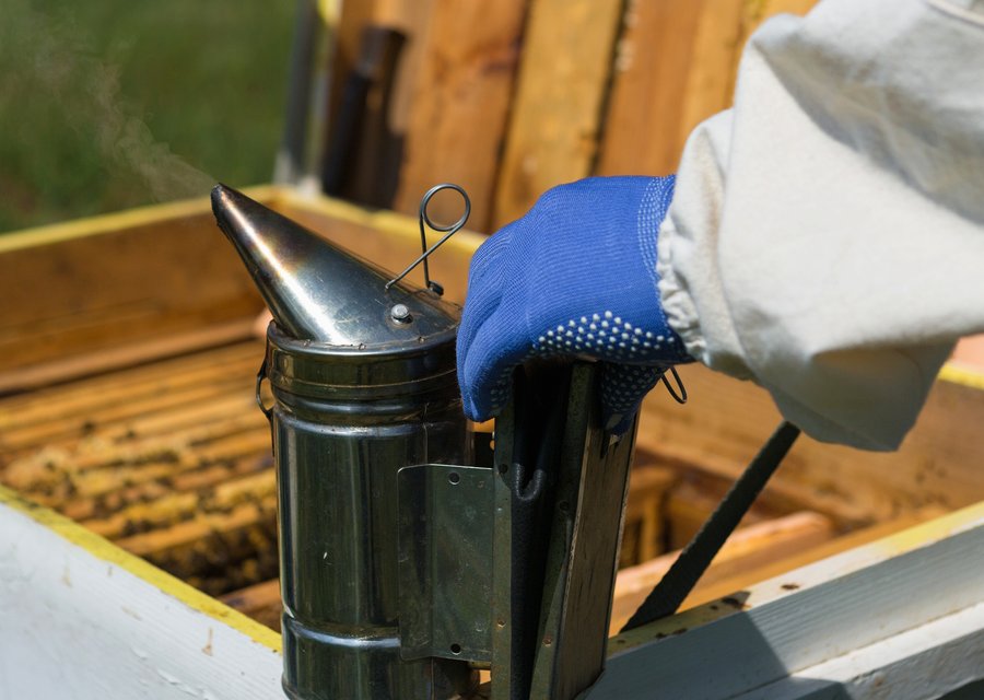 Bugs-B-Gone pest control work in Aberdeen