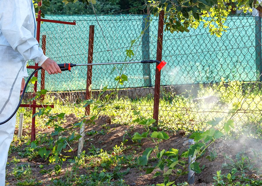 Aim Pest Control LLC pest control work in Devine