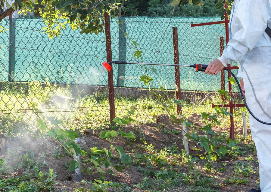 Pest treatment in Canal Fulton, OH