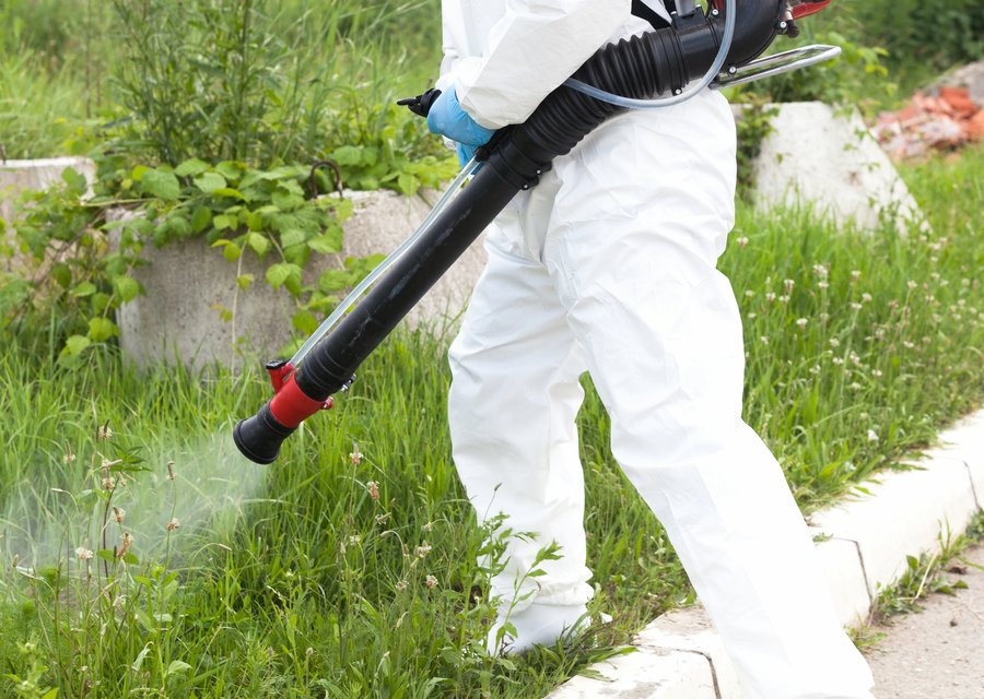 Local exterminator Franklin