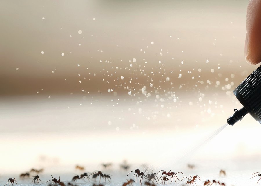 Local exterminator Barrington