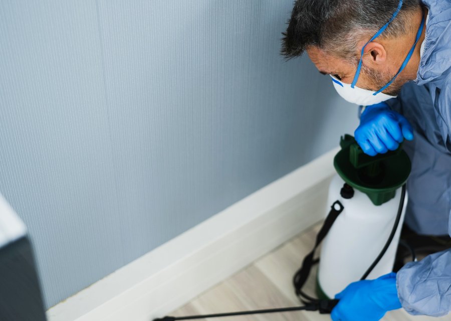 Local exterminator Boulder City