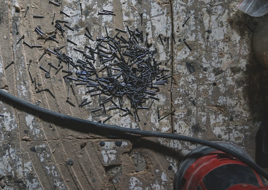 Pest treatment in Beech Grove, IN