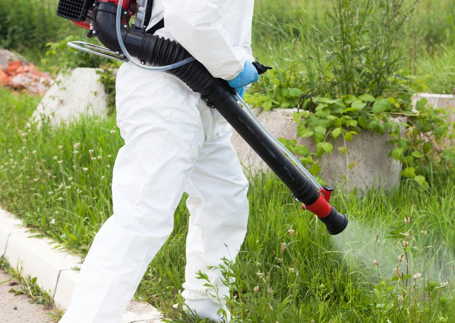 Local exterminator Beech Grove