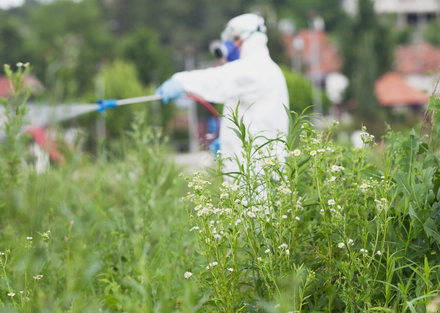 Pest Busters USA pest control work in Blanchester