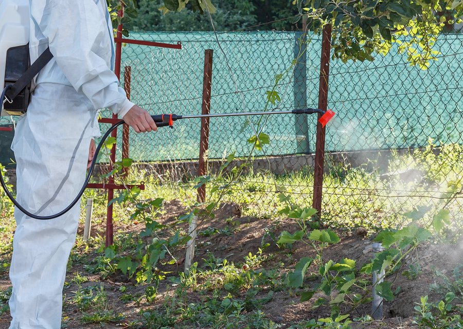 Pest treatment in Blanchester, OH