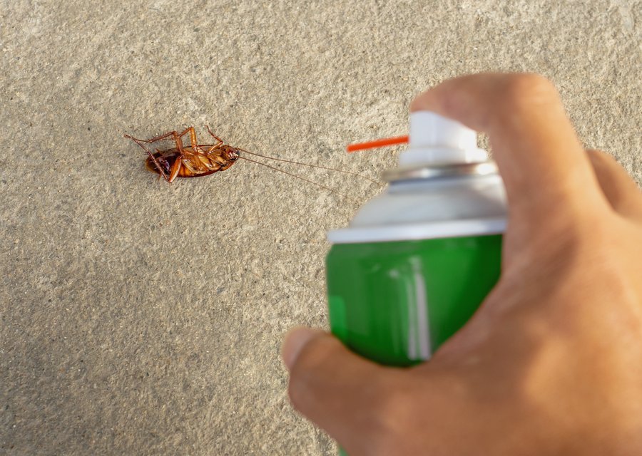Local exterminator Blanchester