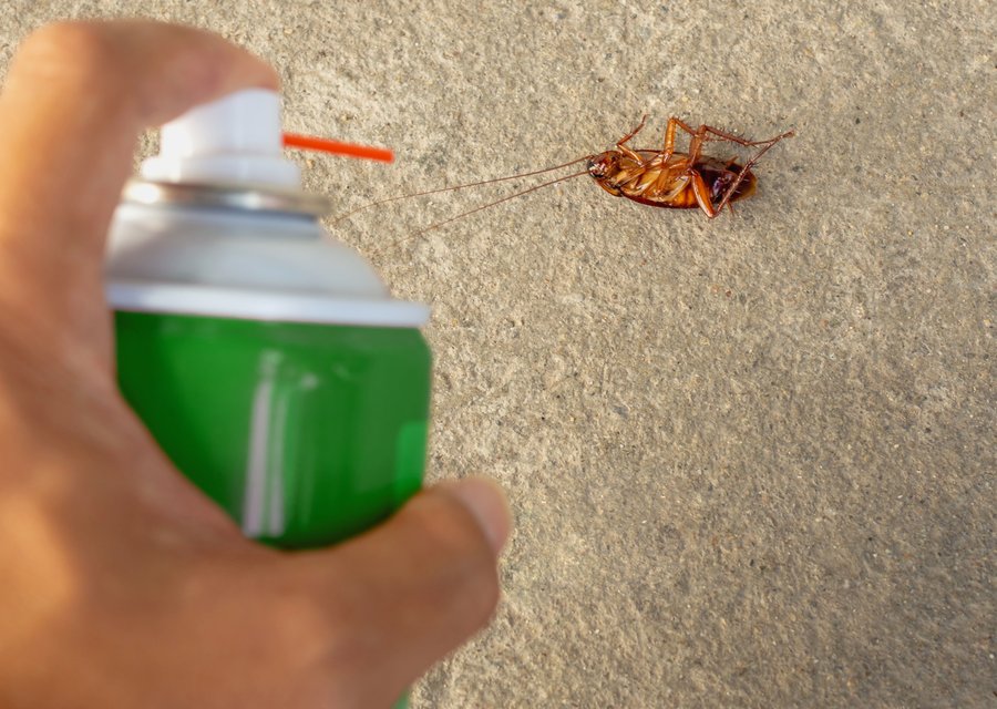 Local exterminator Beech Island