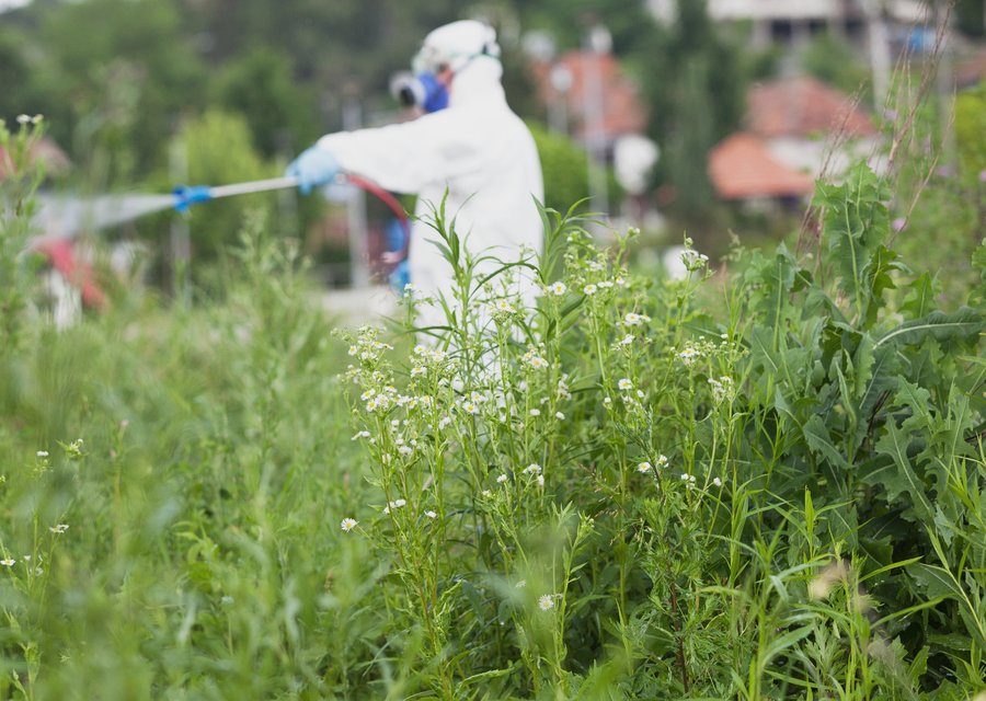 Pest treatment in New Britain, PA