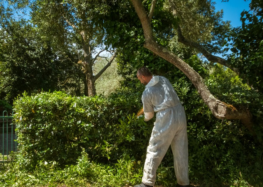 Force Termite & Pest Control pest control work in Campobello