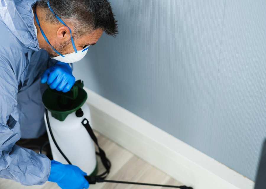 Pest treatment in Glen Ellyn, IL