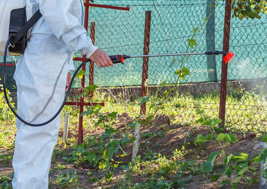 Evolve Pest Control pest control in New York, NY