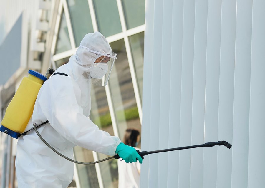 Expert Pest Solutions pest control work in Islip