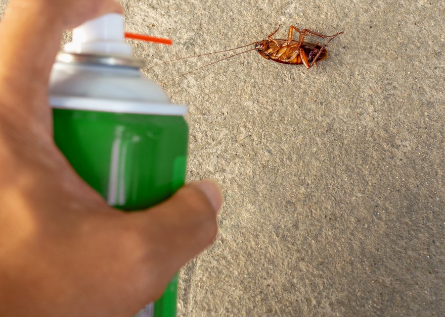 Dickinson Exterminating Services Inc pest control work in Bonner Springs