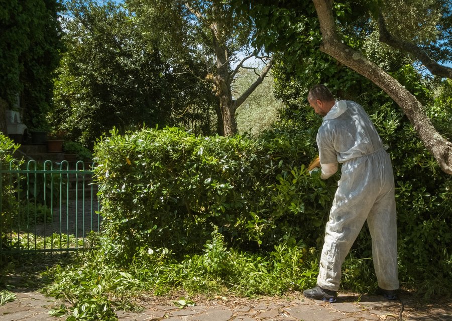 Local exterminator Bonner Springs