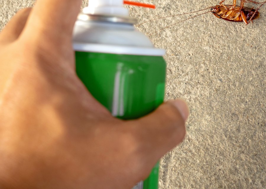 Alpine Termite and Pest Control pest control work in Altoona