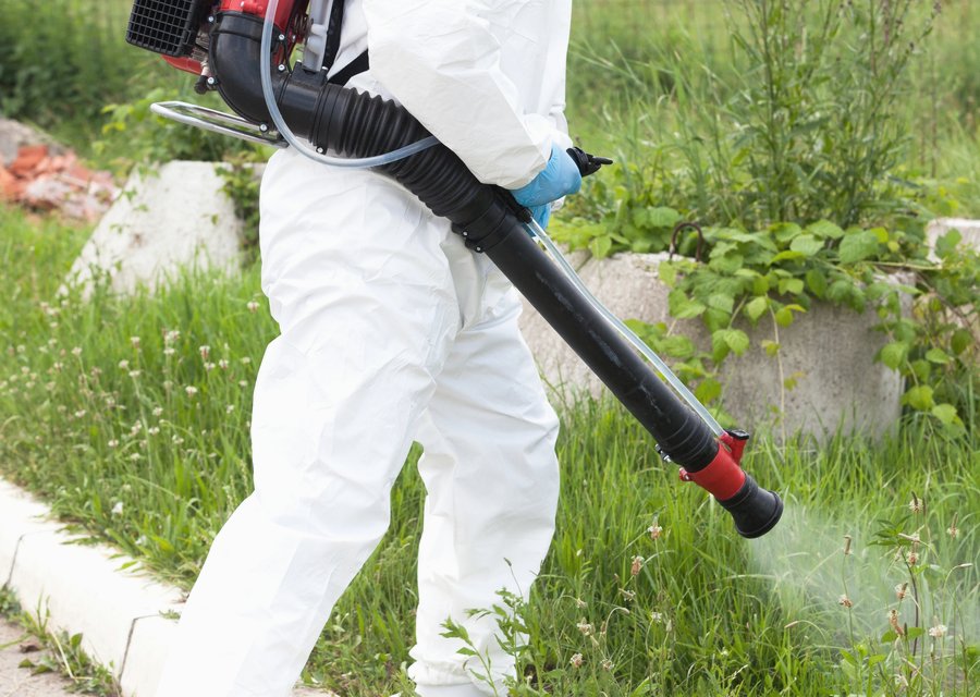 Pest treatment in Newberry, PA