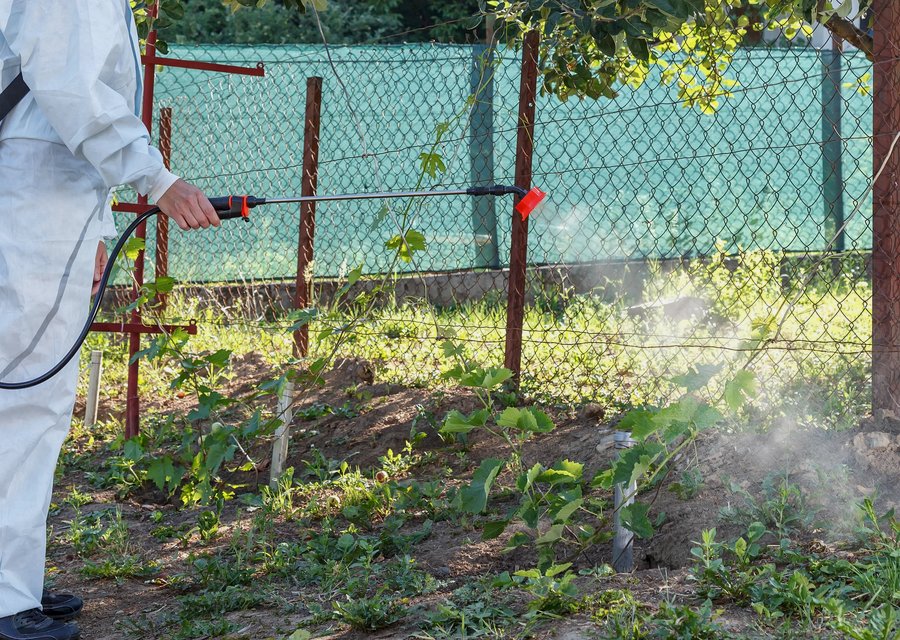JP Pest Control LLC pest control work in East Bridgewater