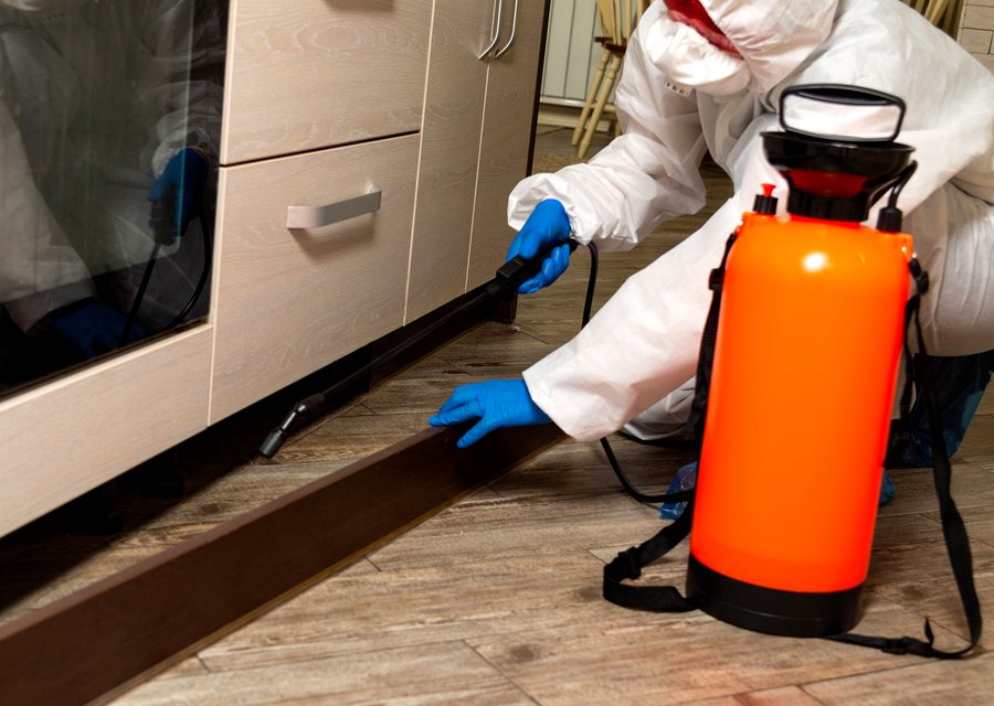 Local exterminator East Bridgewater