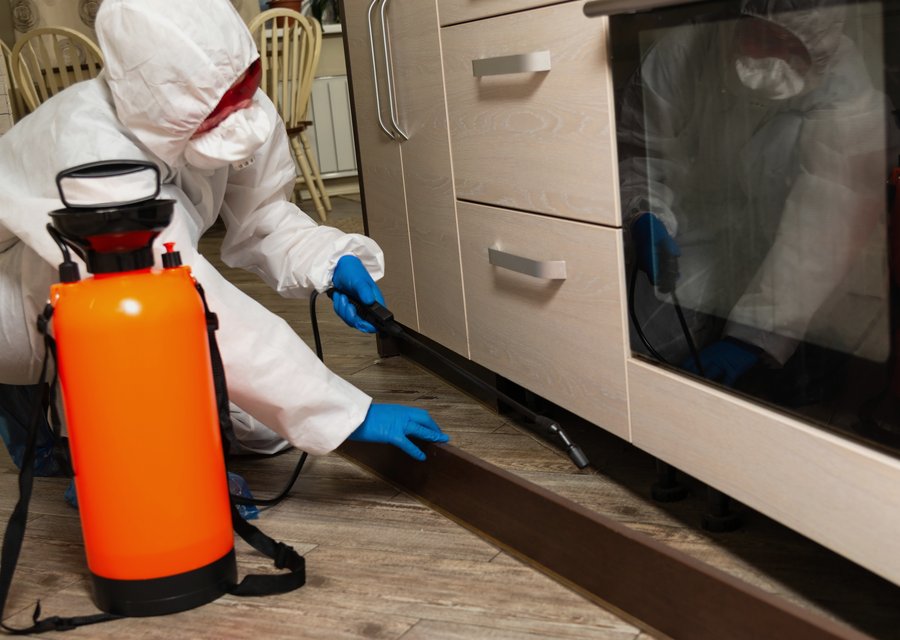 Dependable Pest Solutions Inc pest control work in Amanda