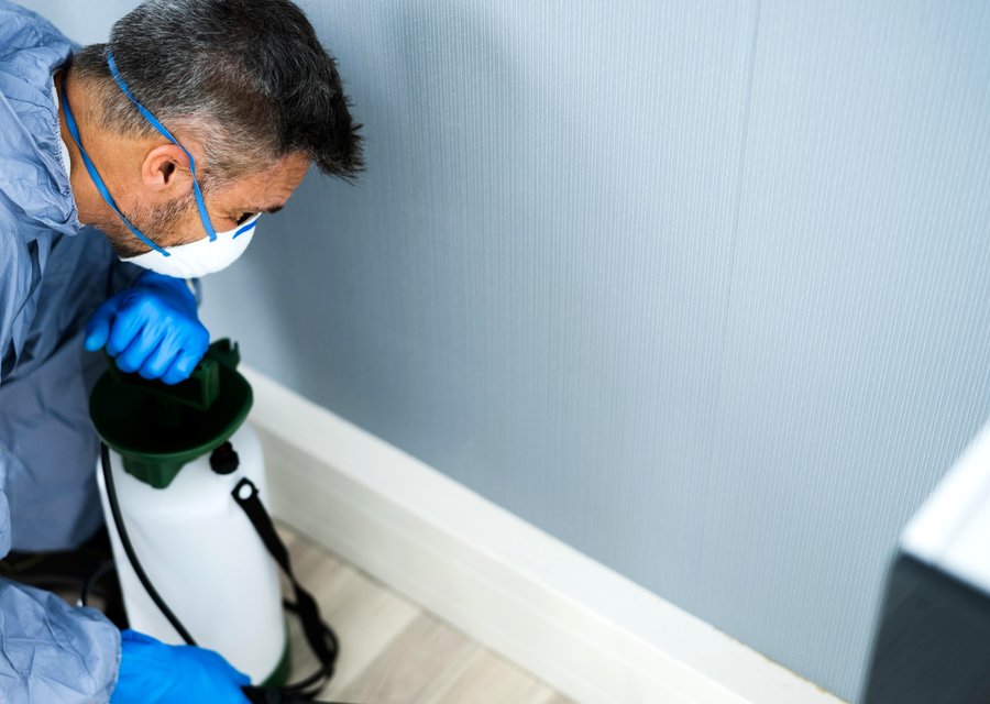 Pest treatment in Bailey, NC