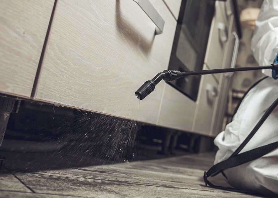 Pest treatment in Ashville, OH