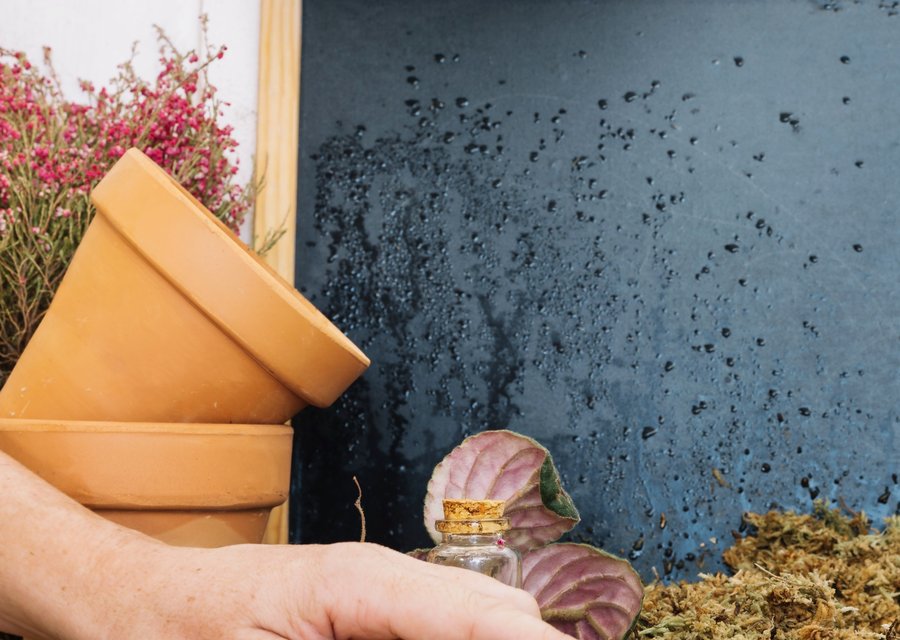 Local exterminator Fleming Island