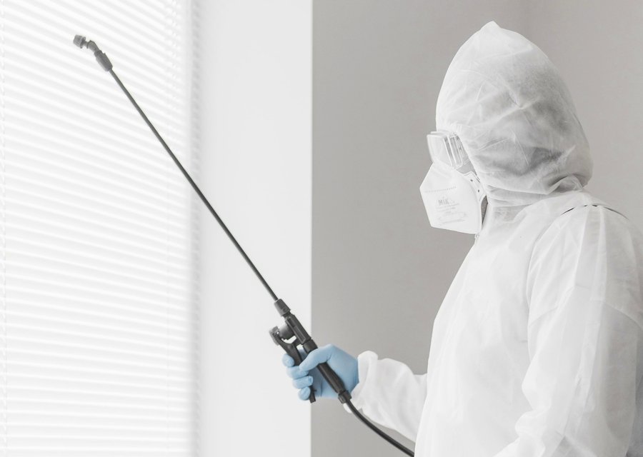 Local exterminator Boring