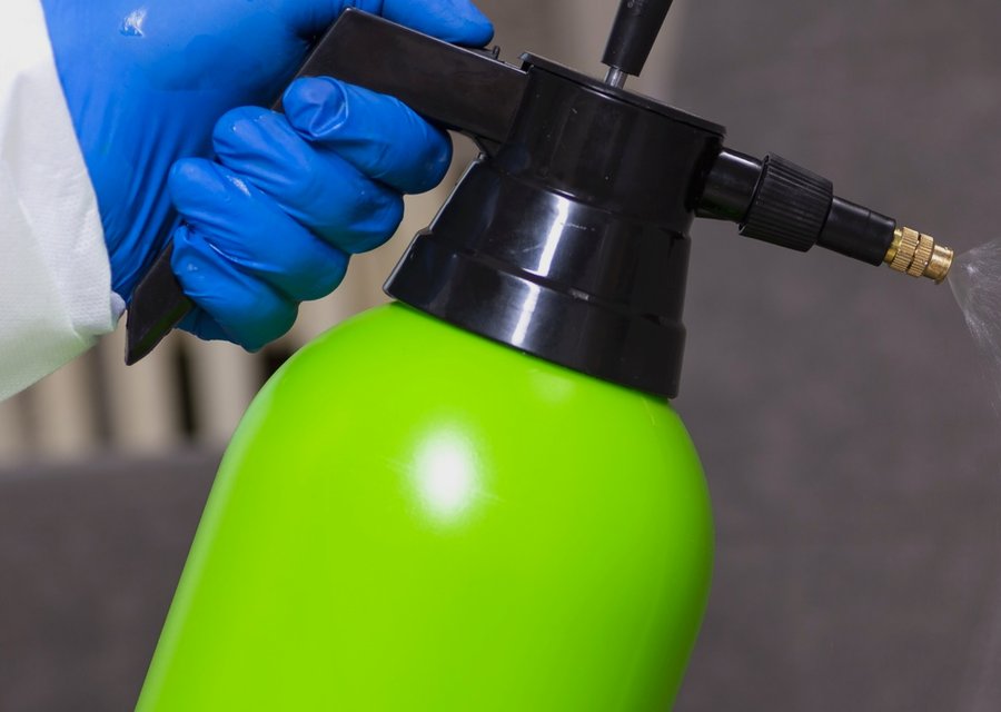 Pest treatment in McCandless, PA