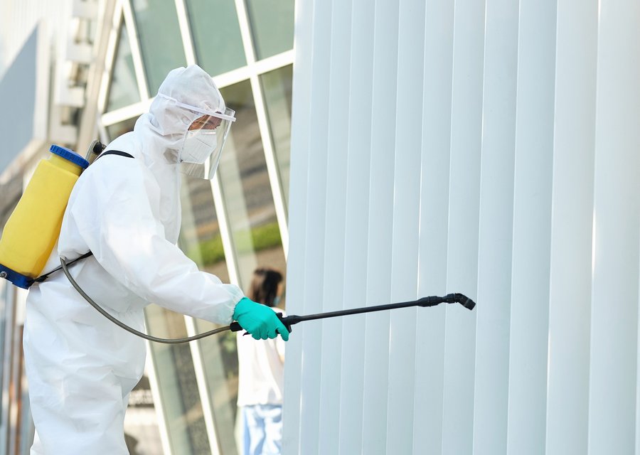 Local exterminator McCandless