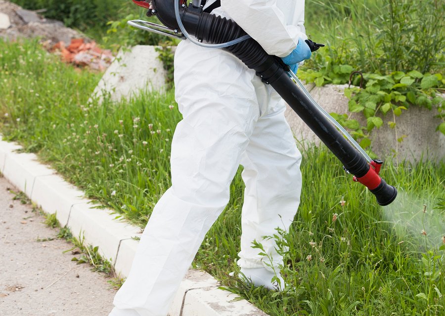 Pest treatment in Garrettsville, OH