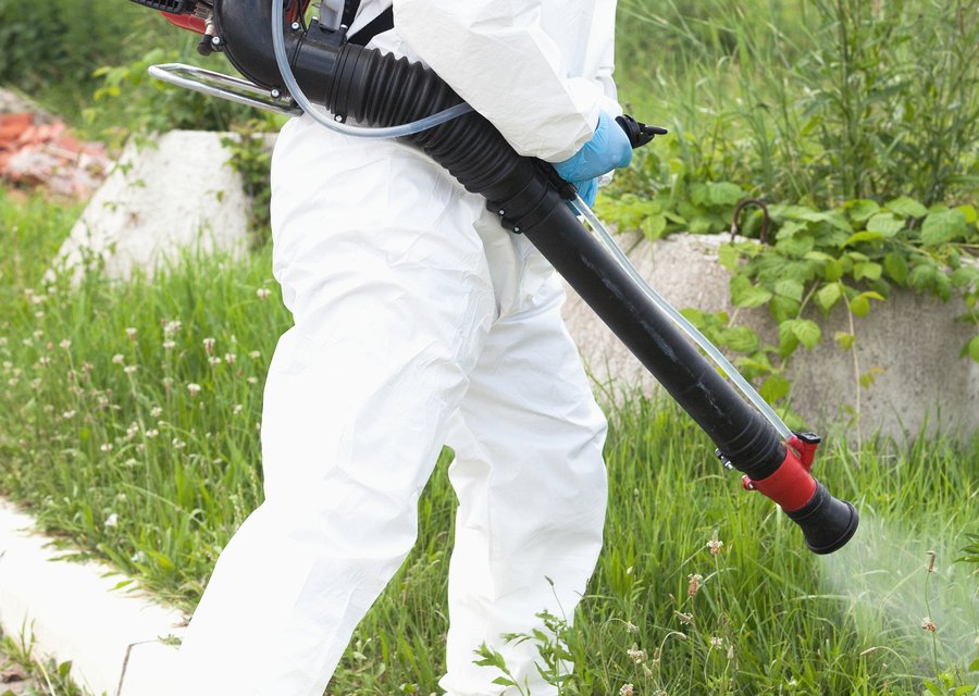 Buckingham Termite Control pest control work in Boston