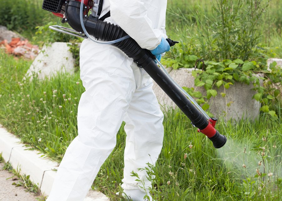 Pest treatment in Bellflower, CA