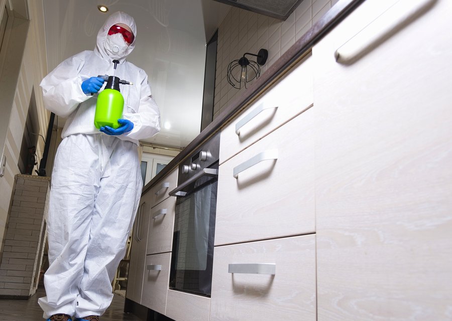Axe Exterminators LLC pest control work in Anderson