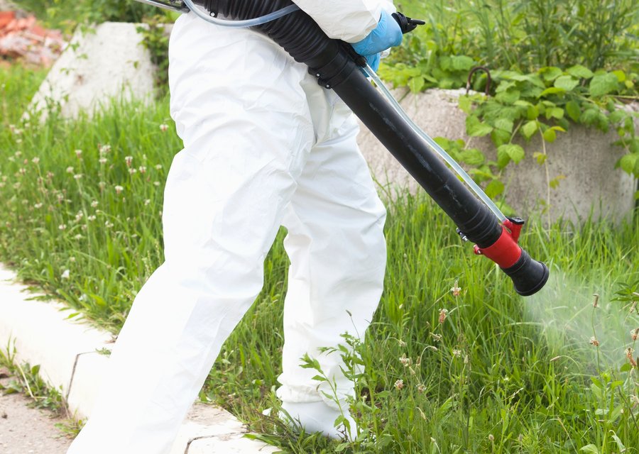 Local exterminator Falmouth