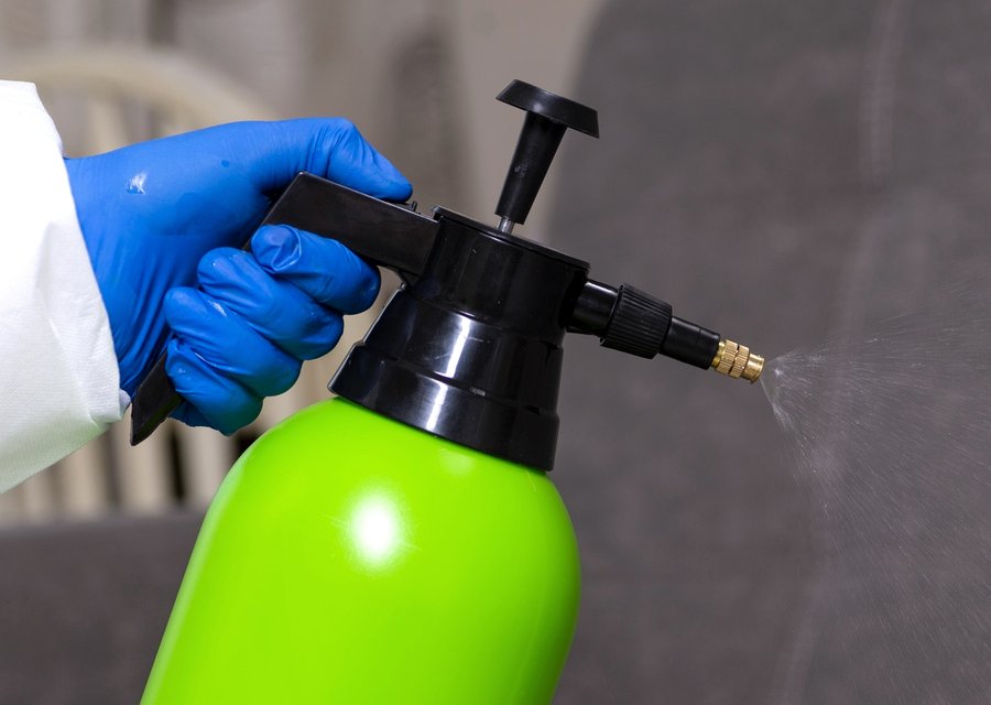 Pest treatment in Ridley, PA