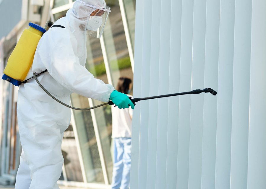 Local exterminator Camarillo