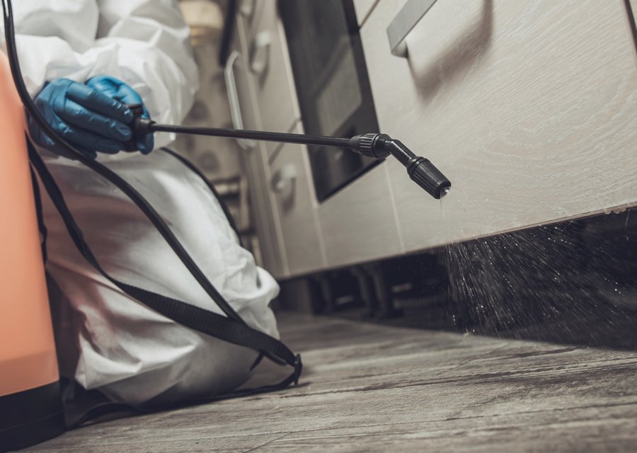 Pest treatment in Columbiaville, MI
