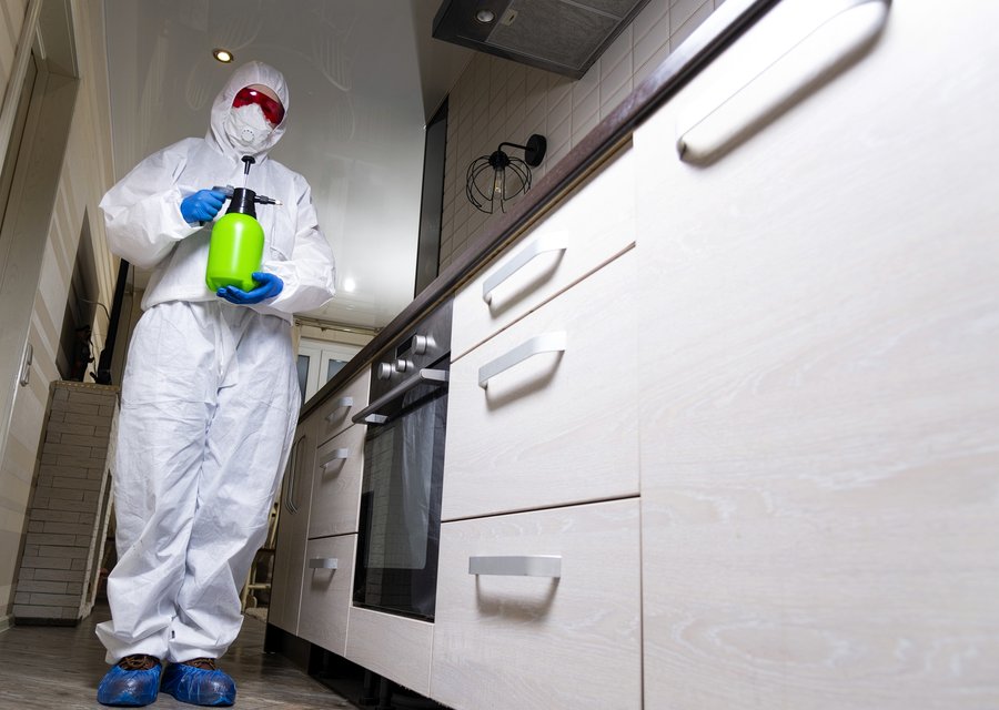 Local exterminator Columbiaville