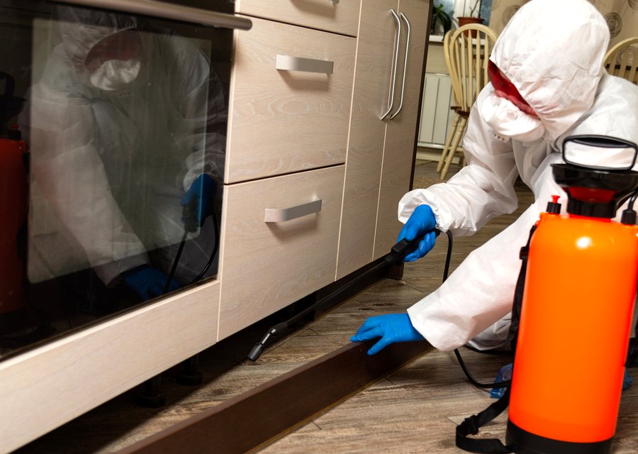Pest treatment in Far Hills, NJ