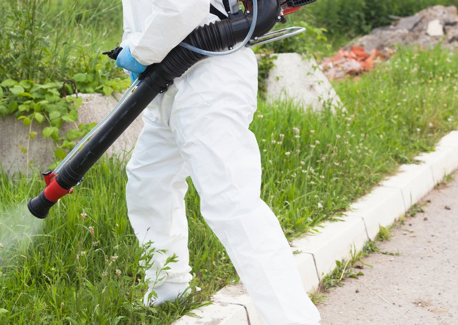 Pest treatment in Ames, IA